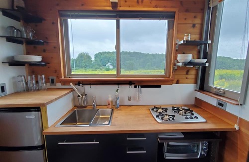 Hartwick Cabin | Tiny House in a peaceful meadow near Cooperstown