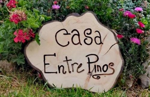 Susa House | Casa Entre Pinos susa