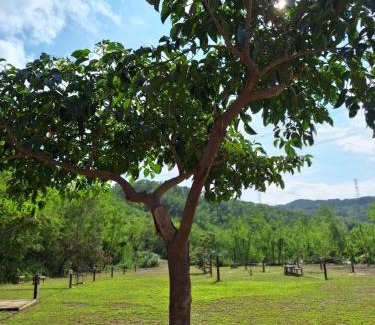 Checheng Cabin | 墾丁溪之谷樹屋農場民宿