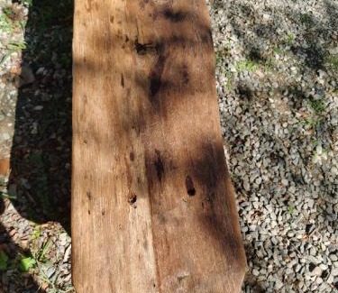 Checheng Cabin | 墾丁溪之谷樹屋農場民宿