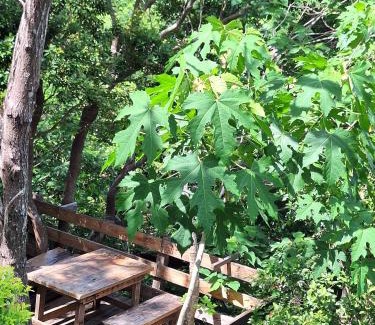 Checheng Other | 墾丁溪之谷樹屋農場樹屋