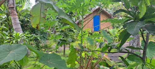 Tanna Island House | White Sand Ocean View Bungalow and Tours
