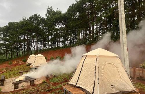 Bao Lam House | HONEY FARM HOUSE