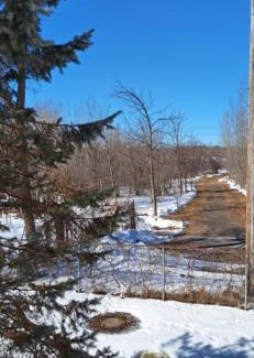 Ottawa Division House | Nature Retreat in the city