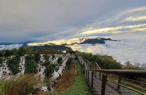 Fanlu House | 無·竹居-藝坊