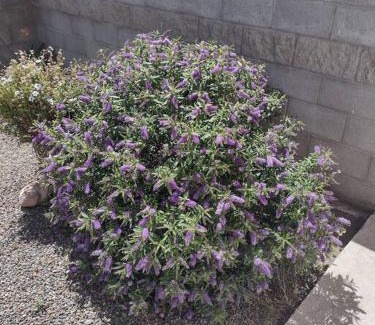 Rada Tilly Apartment | Wind & Tide Duplex en Rada Tilly