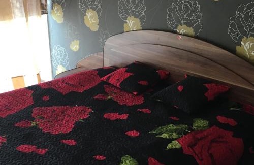 Klaipeda Apartment | Burės apartamentai