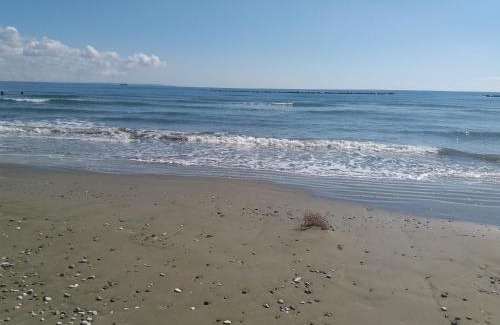 Livadia Apartment | Entire Garden Studio 1km from the sea