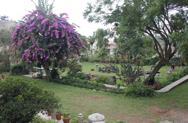 Amã Stays & Trails Fairholme Bungalow, Yercaud