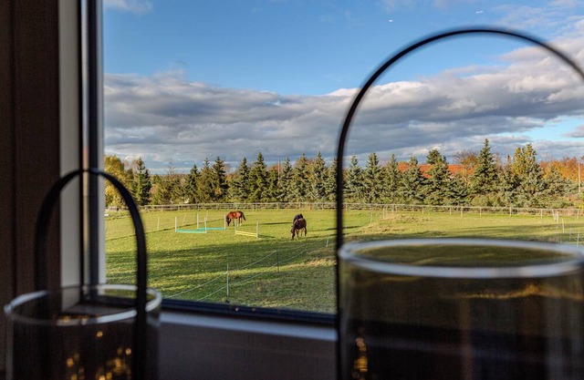 Ferienwohnung Harzliebe - am Fuße des Brocken