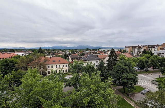 Studio Apartment Monstera- "A peaceful getaway in the city center."