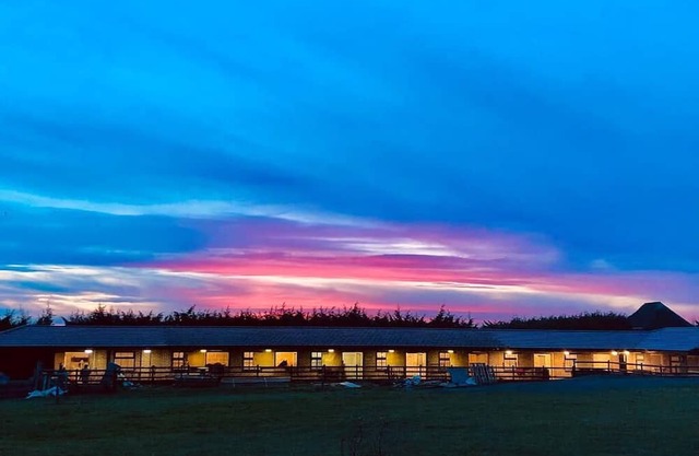 Country retreat on South Downs Way. Bring your own horse and pony rides.