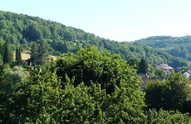 Geli - in Simmelsdorf
