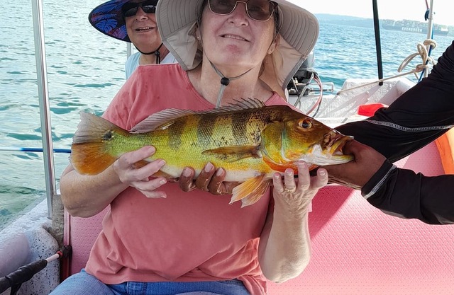 Orange Little Bird, for a single person or a couple.