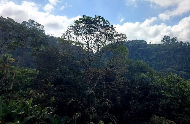 Chalé Super Charmoso com Varanda Para Apreciar Fins de Tarde em Friburgo
