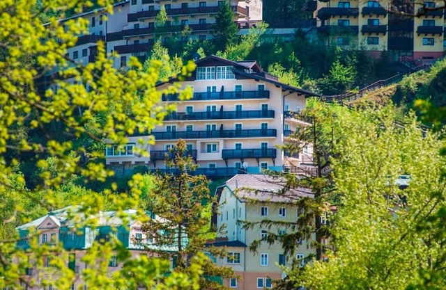 Deluxe Appartement mit Zwei Schlafzimmer - Alpenhof