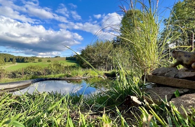 Landhaus Waidblick Comfortable Vacation Home