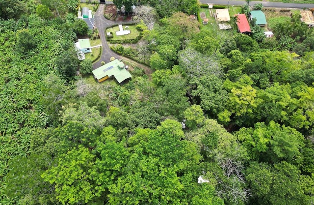 Forest Hideaway: Container Retreat with Private Pool. Pet friendly!