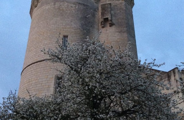 La Maison du Passeur New Gite in Beautiful Loire Riverside Village near Saumur