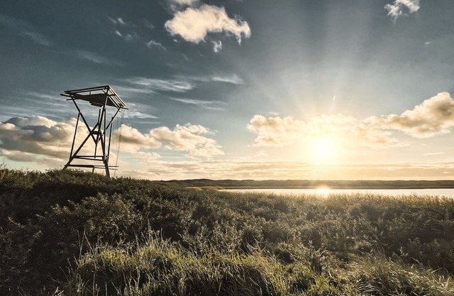 Basecamp Tiny House Eco Resort