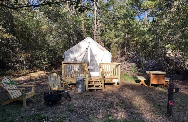Tentrr State Park Site - Texas Lake Livingston State Park - Site D - Single Camp