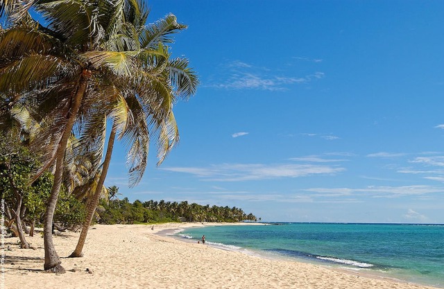 Homerez - Appartement for 4 ppl. with sea view at Capesterre-de-Marie-Galante