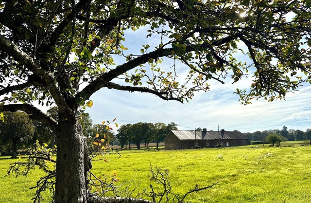 Cottage in the heart of a forest estate