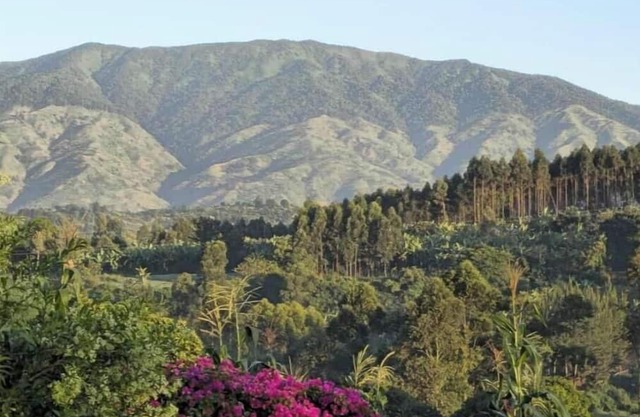 Kaije Country Cottages unit 7