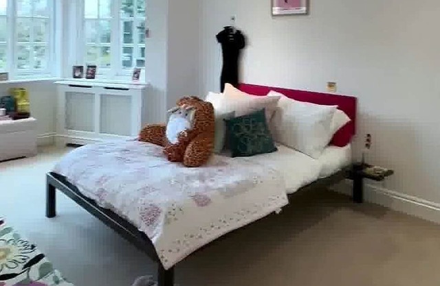 Bright & Cozy Flat in Peaceful South West London