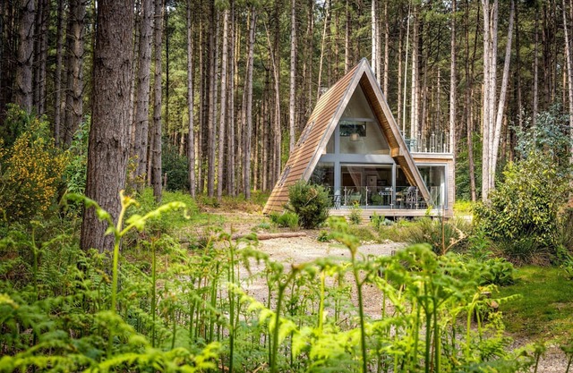 Set in an exclusive and secluded development of gorgeous woodland lodges in Weybourne Forest, Liz's