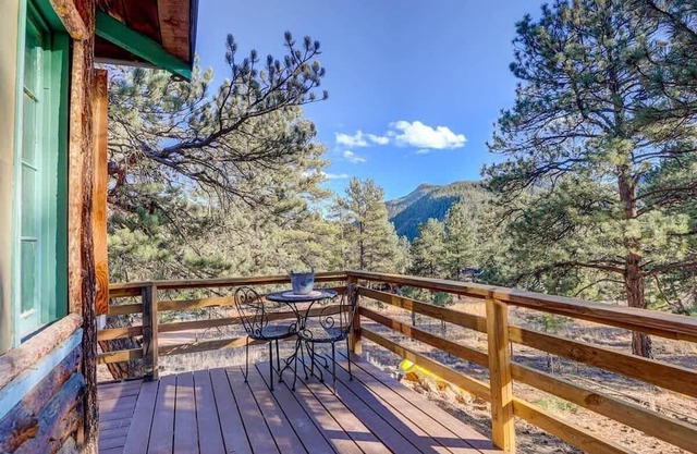 Historic Pine Cabin | 45min to Denver | Pets OK