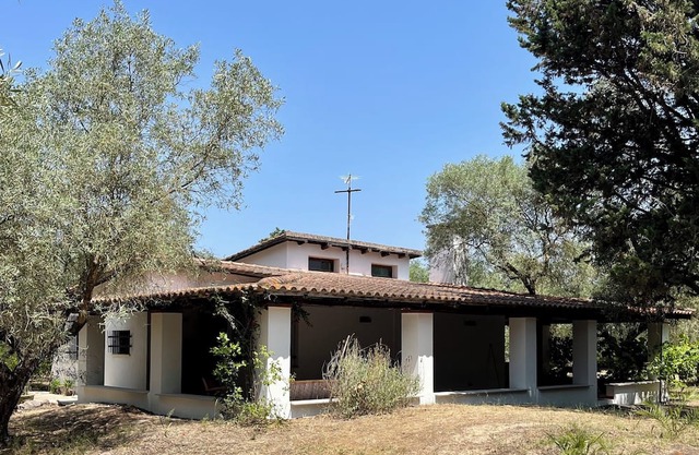 Villa surrounded by a centuries-old olive grove