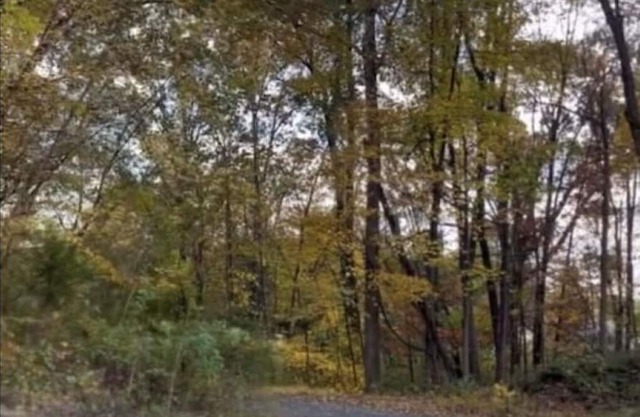 THE ARTIST’S LOFT- Peaceful 1-bedroom apartment in lovely Red Hook with AC, WiFi