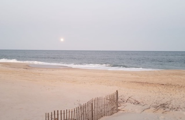 Idyllic Cozy Cottage in Davis Park, Fire Island - Weekly Rentals Now Available!