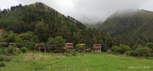 Rumi Wasi