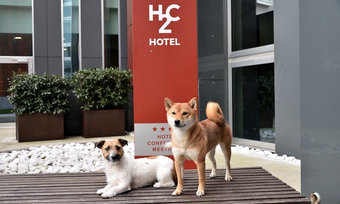 Milanofiori Nord Hotel | H2C Hotel Milanofiori