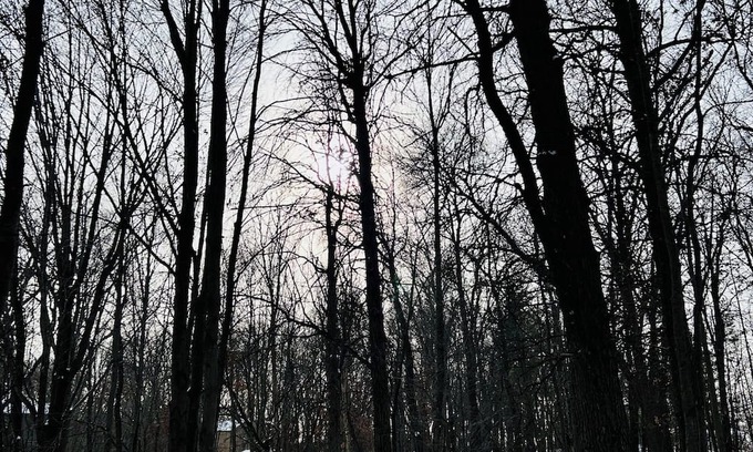 Big Lake House | Merry Moose Lodge - Pets Welcome