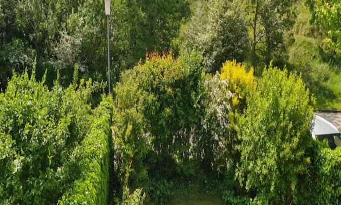 Borkum House | Borkum Ideal 71 A Comfortable holiday residence