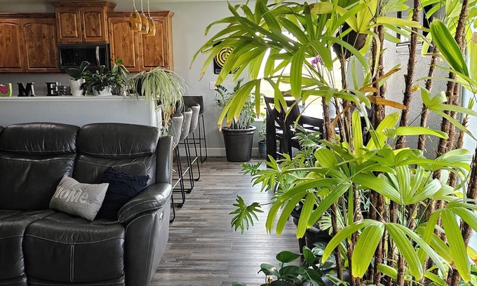Gillette House | Cozy family friendly 5 bedroom home 10 min drive from Camplex