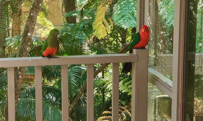 Killara House | Natures Retreat Getaway your ideal staycation retreat