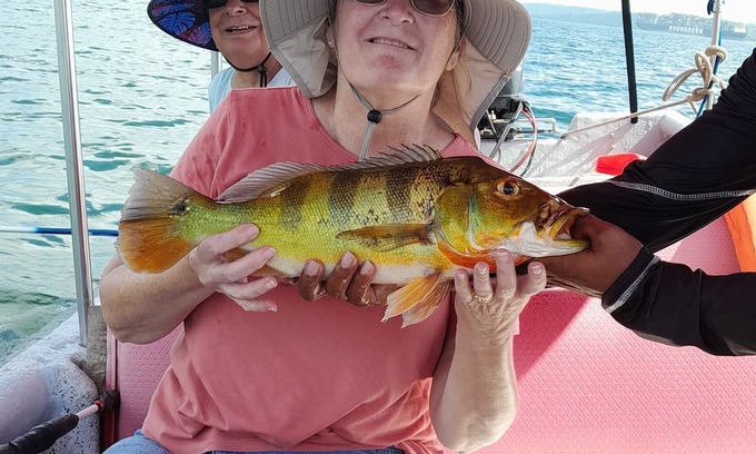 Veracruz House | Orange Little Bird, for a single person or a couple.