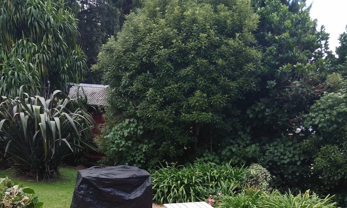 Karangahake Cottage | Ideal couples getaway in the beautiful, quiet hills of Karangahake Gorge.