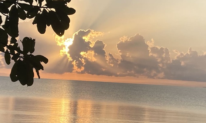 Palma Apartment | Studio cabin with AC & WiFi located in a Tropical Paradise