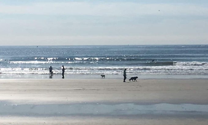 Kennebunk Cottage | Very private setting on 6 acres,1 mile to beaches and 1 mile to Dock Square.