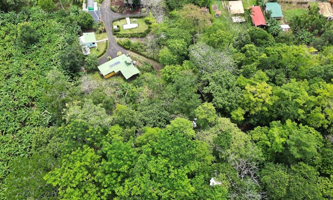 Penjamo House | Forest Hideaway: Container Retreat with Private Pool. Pet friendly!