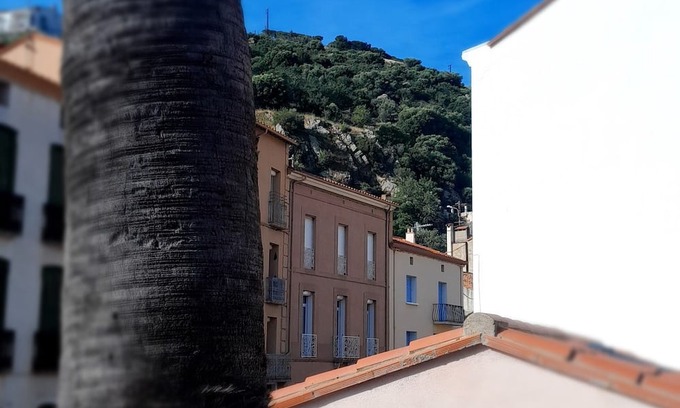 Cerbere Hotel | Hôtel Le Ribéral