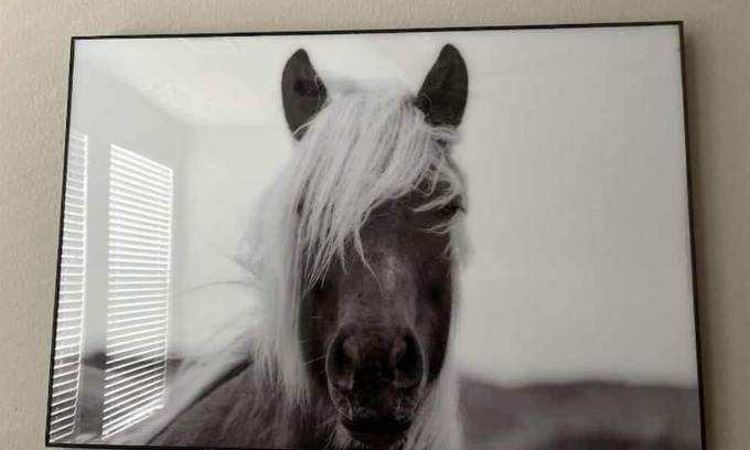 Downtown Fort Worth Apartment | Cowtown 1 bedroom in Downtown FT Worth