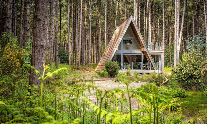 Weybourne Cabin | Set in an exclusive and secluded development of gorgeous woodland lodges in Weybourne Forest, Liz's