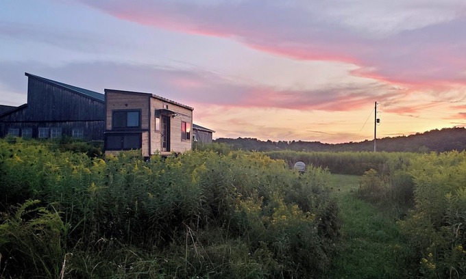 Hartwick Cabin | Tiny House in a peaceful meadow near Cooperstown