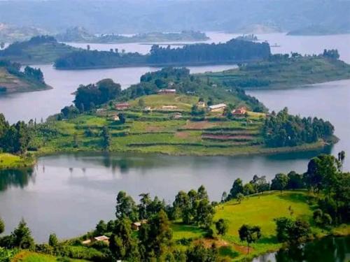 Central Kampala Boat Rental | 5 Days Gorilla & Wildlife Safari